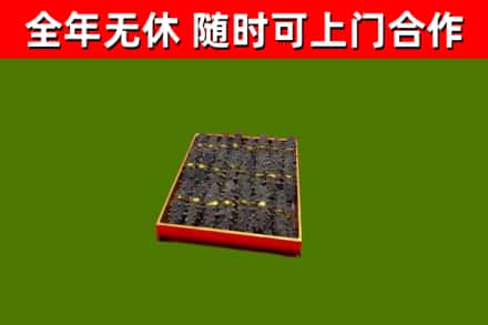 金湖回收海参